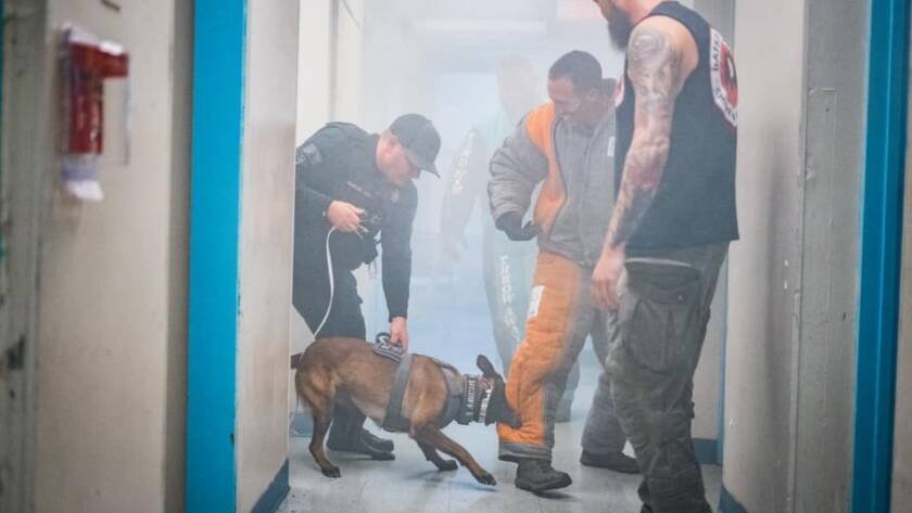 K9 team training a building search in a hallway