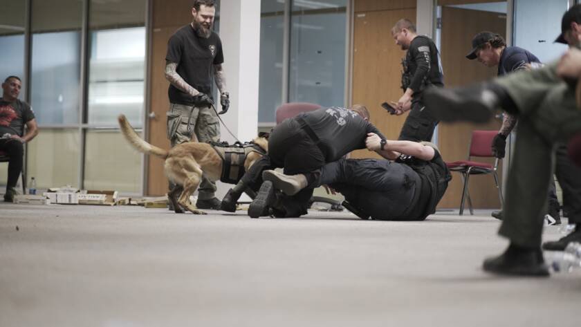 Handlers running a K9 apprehension scenario