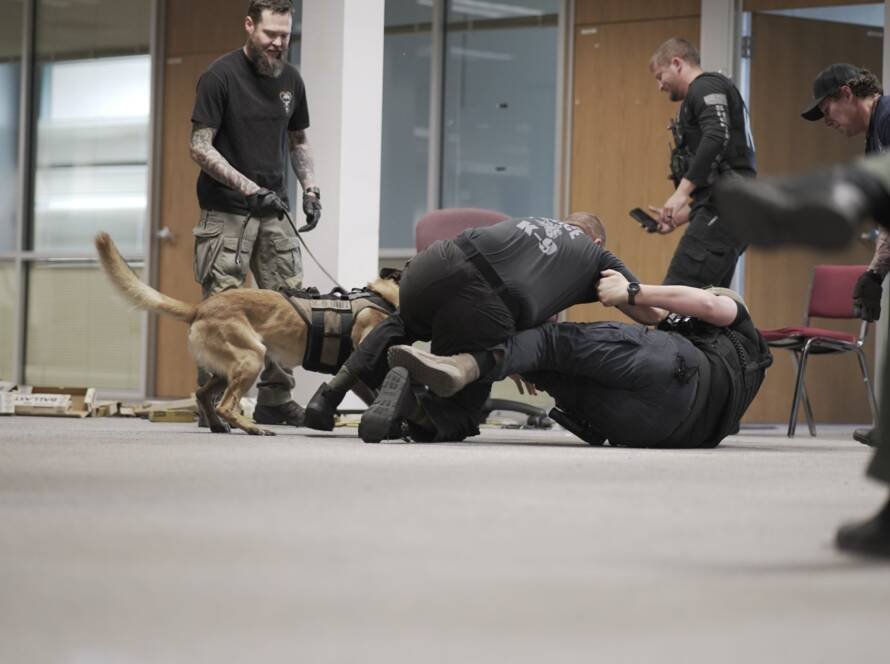 Handlers running a K9 apprehension scenario