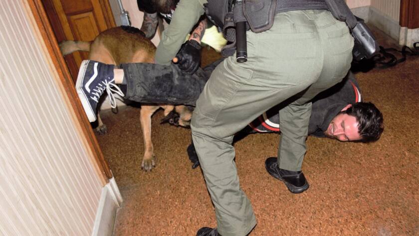 K9 apprehension in a building-search scenario