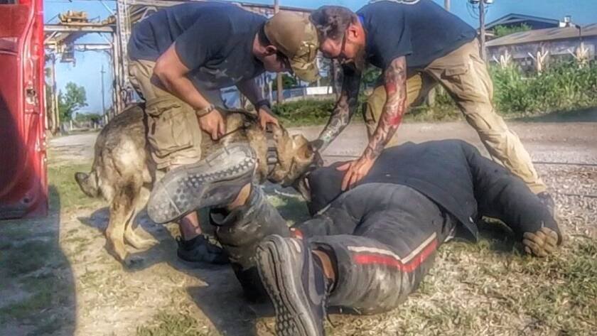 K9 apprehension on grass