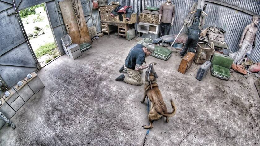 K9 searching a scenario room