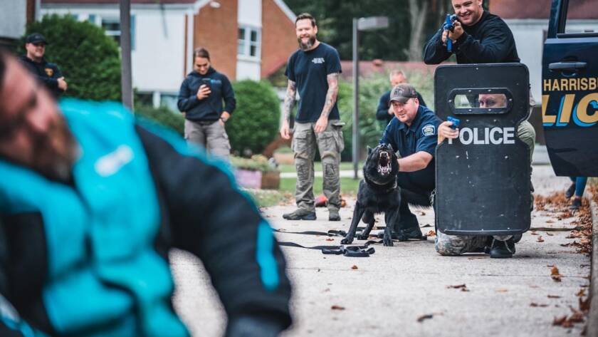 K9 team advancing on a decoy behind a ballistic shield