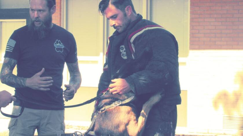 Trainers working a K9 with a decoy