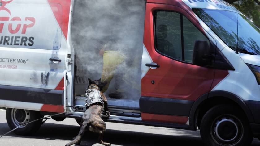 K9 exiting a van during a vehicle deployment drill
