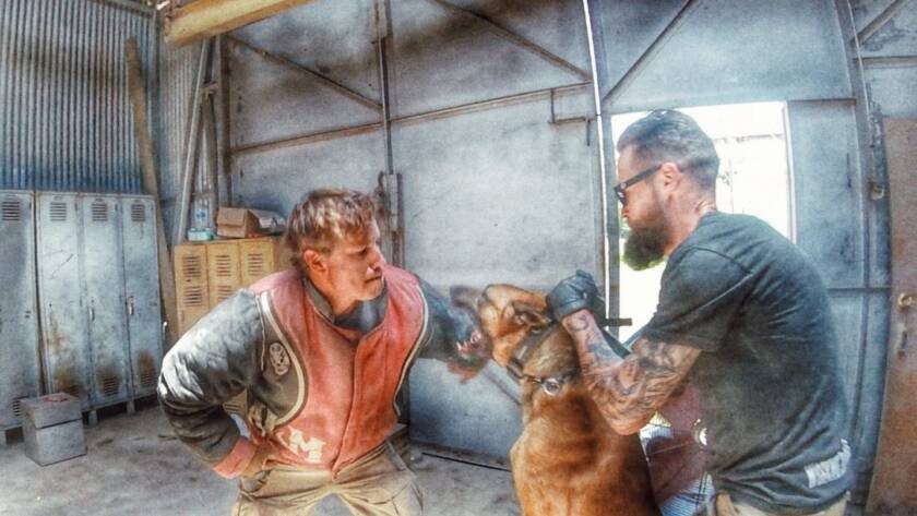 Grip work with a decoy