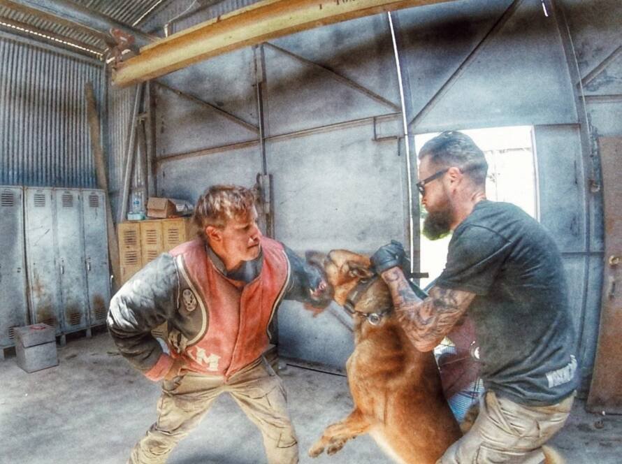 Grip work with a decoy