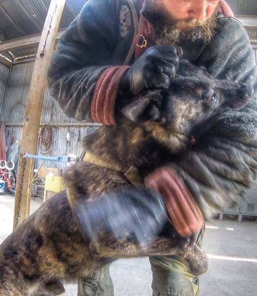 Close-up of a full grip on a bite jacket