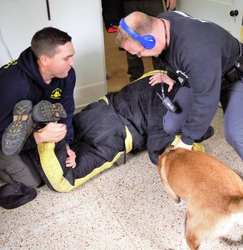 K9 apprehension drill in a hallway