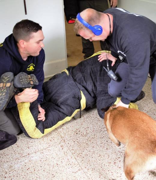 K9 apprehension drill in a hallway