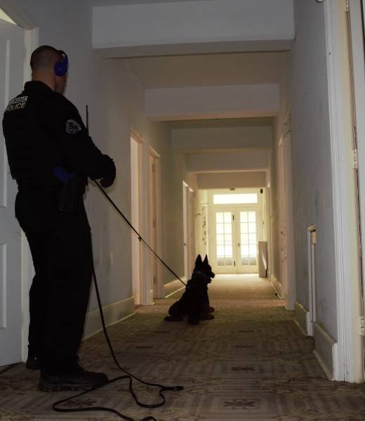 Handler and K9 clearing a hallway