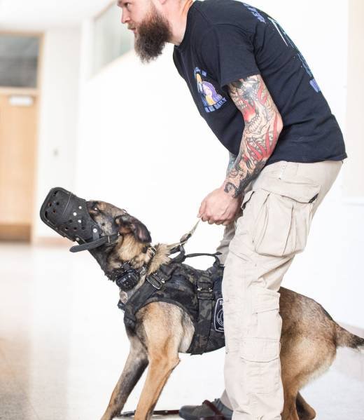 Handler with a muzzled K9 in training