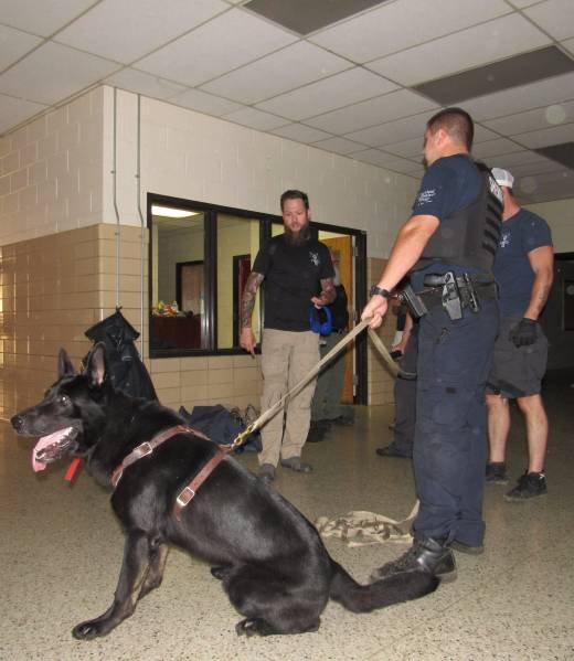 Patrol K9 working in a school hallway scenario