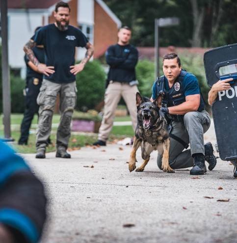 Police K9 and handler behind a ballistic shield during training