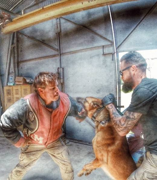 Grip work with a decoy